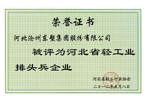 企業(yè)榮譽證書